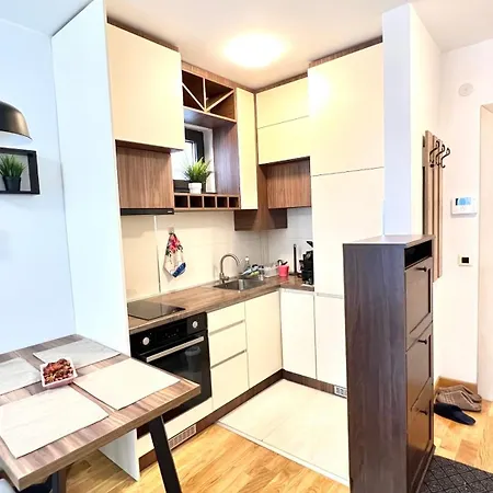 Viktor Aparman Apartment *